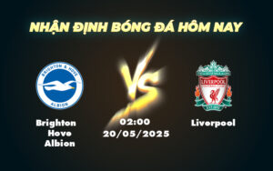 brighton hove albion liverpool 20 05 ngoai hang anh